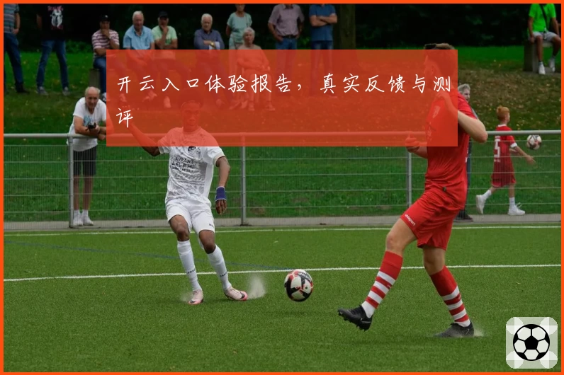 开云入口体验报告，真实反馈与测评
