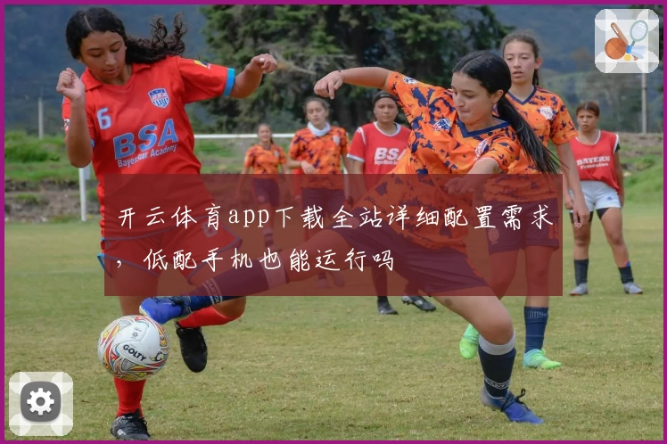 开云体育app下载全站详细配置需求,低配手机也能运行吗