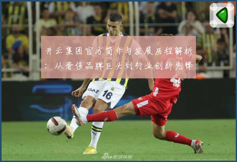 开云集团官方简介与发展历程解析：从奢侈品牌巨头到行业创新先锋
