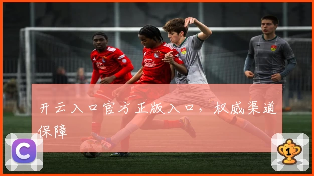 开云入口官方正版入口，权威渠道保障