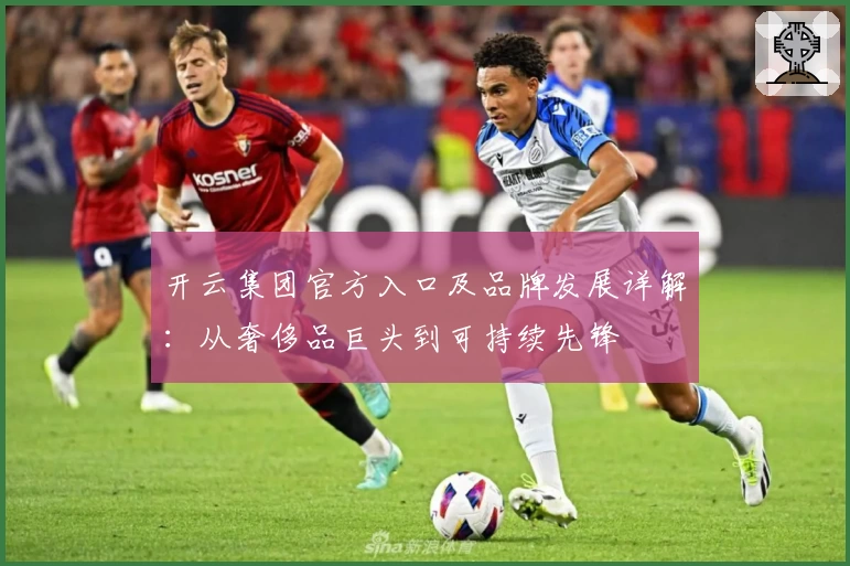 开云集团官方入口及品牌发展详解：从奢侈品巨头到可持续先锋