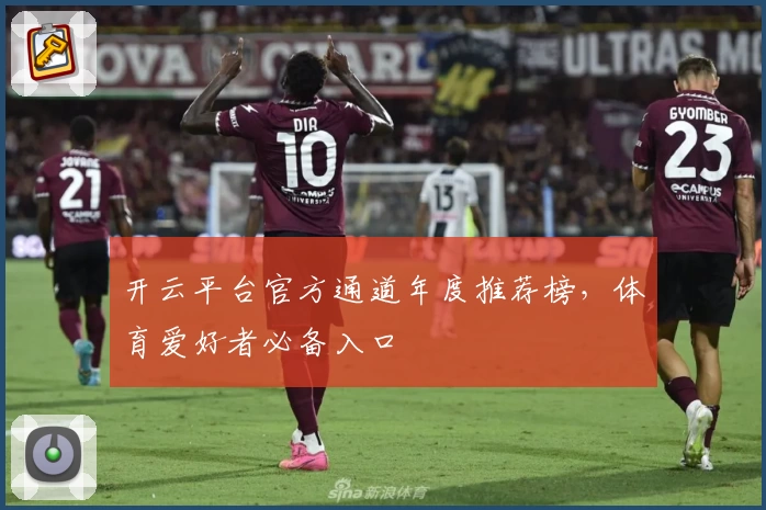 开云平台官方通道年度推荐榜，体育爱好者必备入口